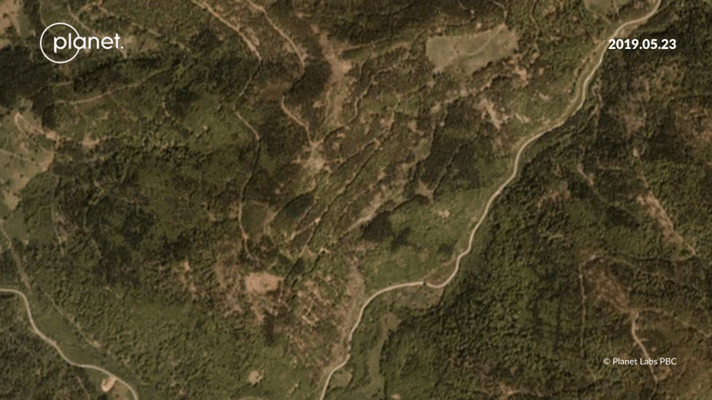 Gegend um Todtnau - Waldveränderung