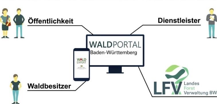 Waldportal_Netzwerk2