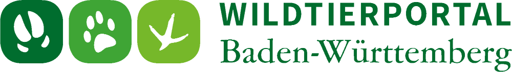 logo_wildtierportal2